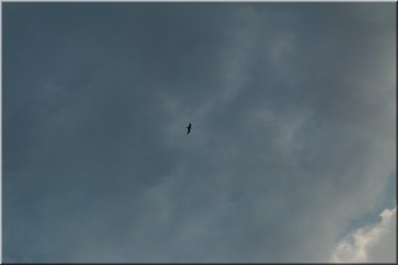 DSC_8881.JPG