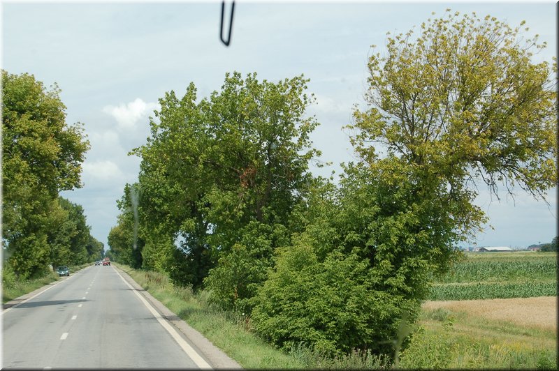 DSC_3206.JPG