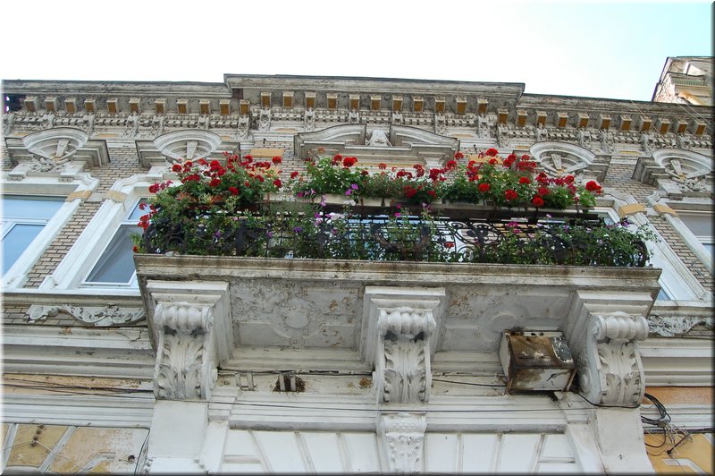DSC_3244.JPG