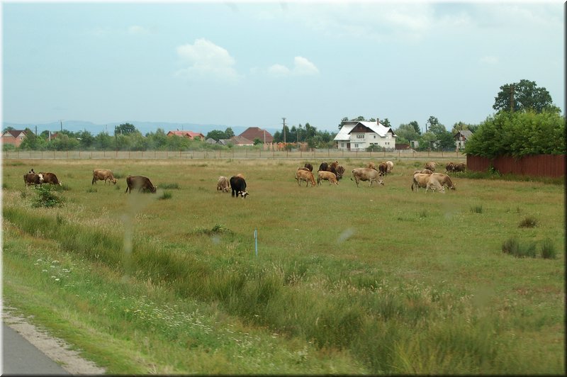 DSC_3292.jpg