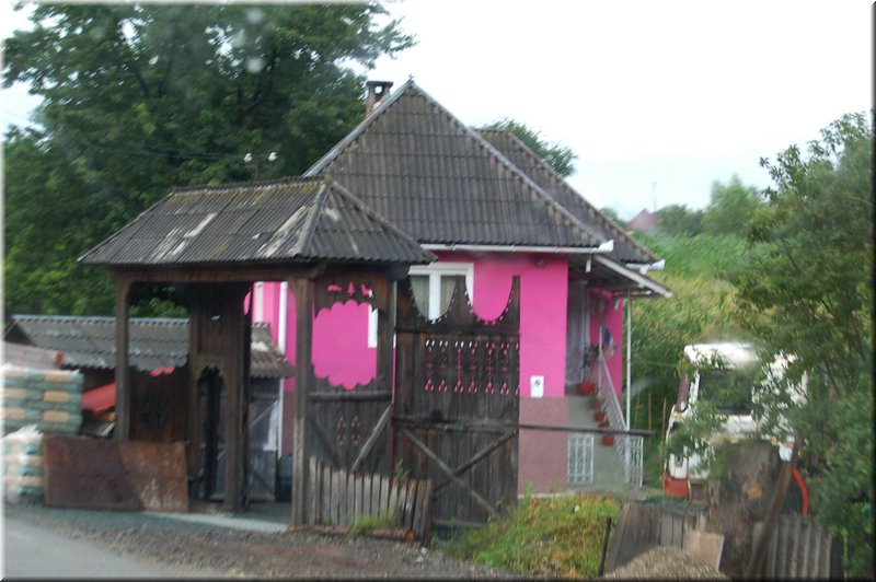DSC_3380.jpg