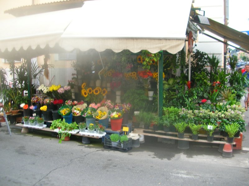 DSCN7058.JPG