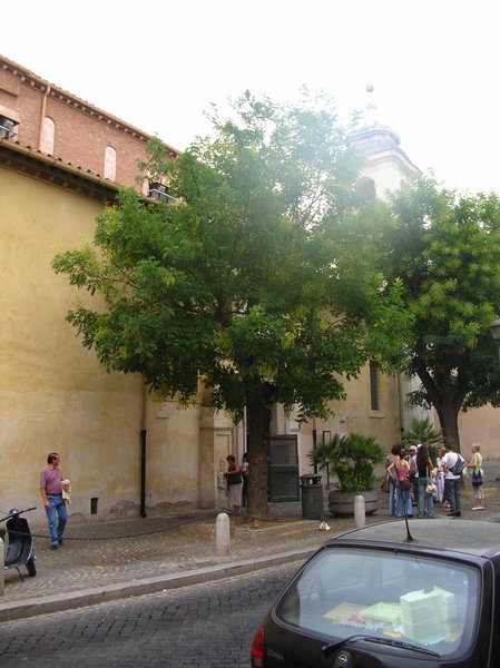 DSCN7059.JPG