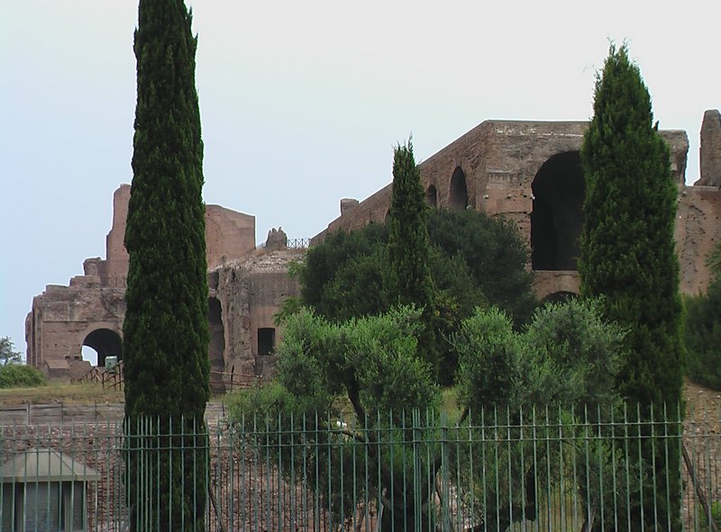 IMGA0304.JPG